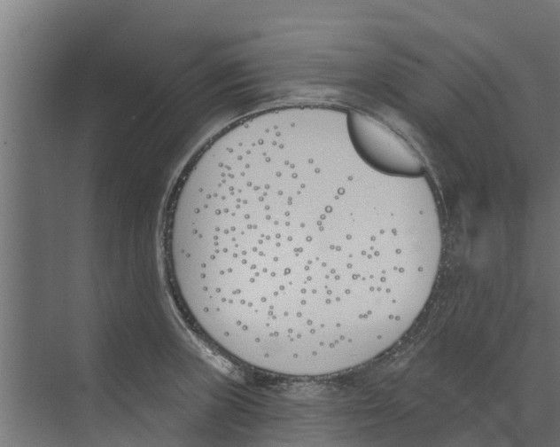 X0000073871235200609071650