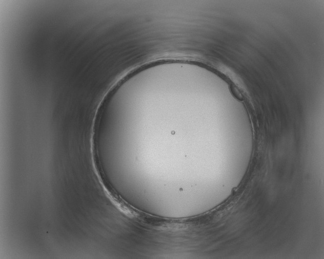 X0000073871237200609071650