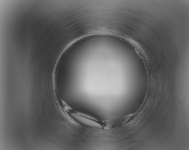 X0000073871238200609071651