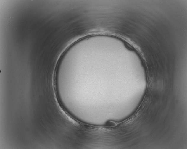 X0000073871239200609071651