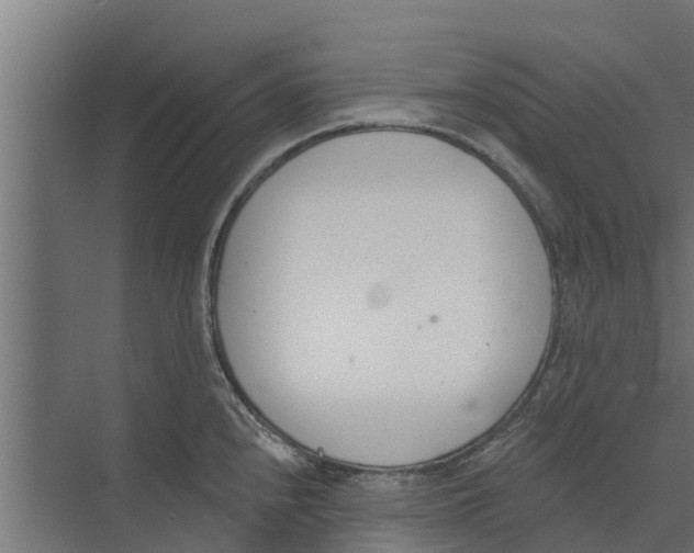 X0000073871240200609071651