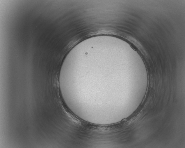 X0000073871241200609071651