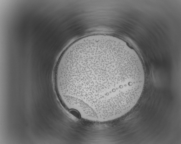 X0000073871243200609071651