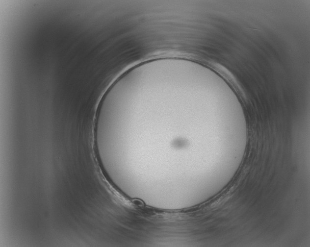 X0000073871244200609071651