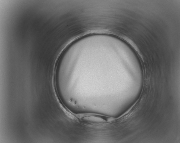 X0000073871245200609071651