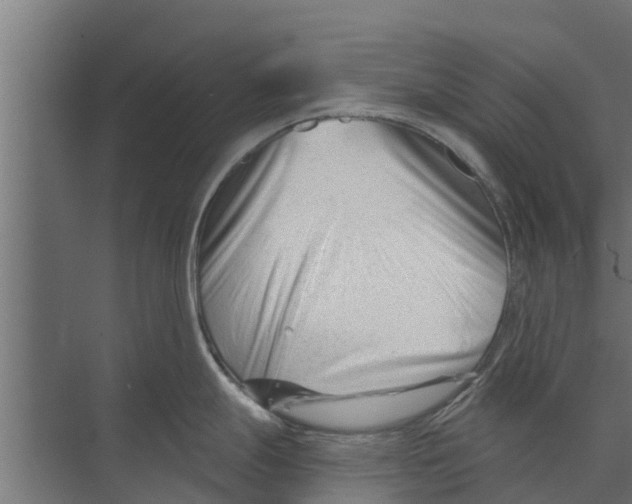 X0000073871247200609071651