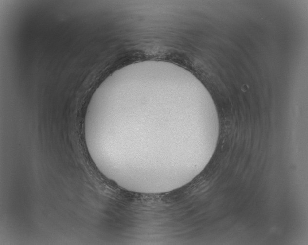 X0000073871249200609071650