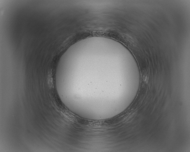 X0000073871252200609071650