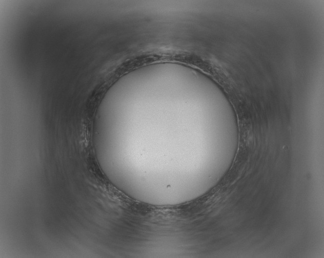 X0000073871253200609071650