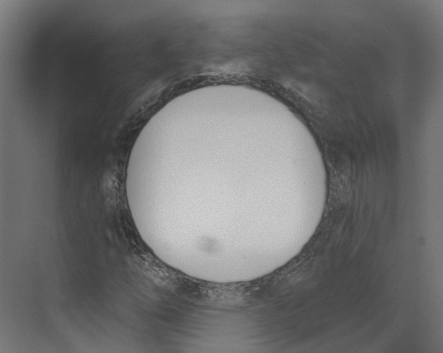 X0000073871254200609071650