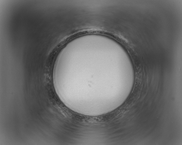 X0000073871255200609071650