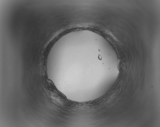 X0000073871256200609071650