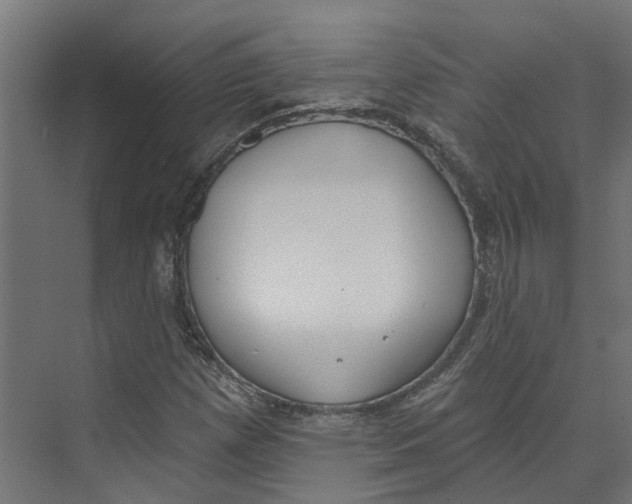 X0000073871257200609071650