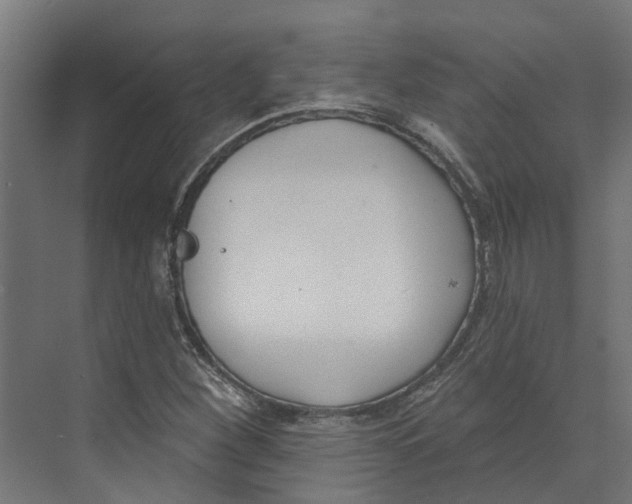 X0000073871260200609071650