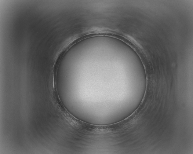 X0000073871269200609071650