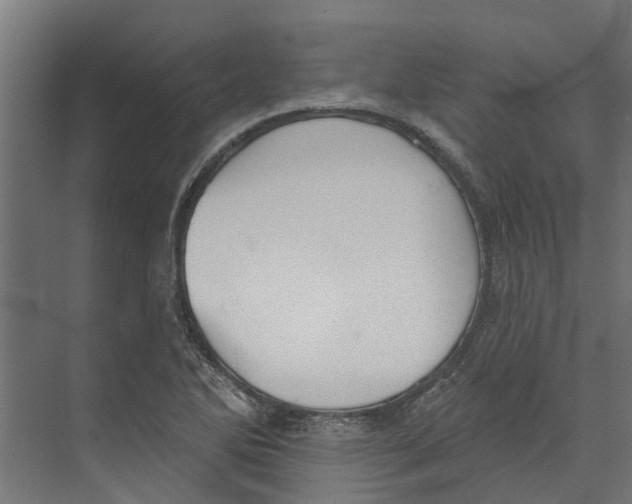 X0000073871270200609071650