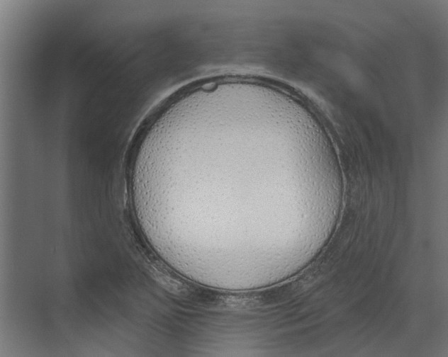 X0000073871271200609071649