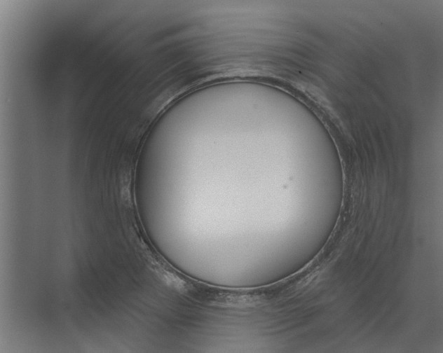 X0000073871273200609071649