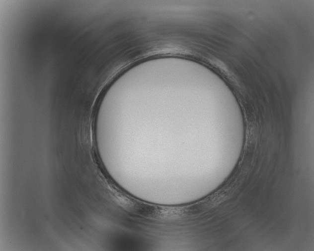 X0000073871274200609071649