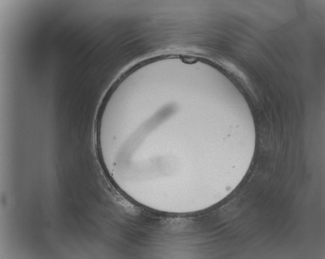 X0000073871280200609071649