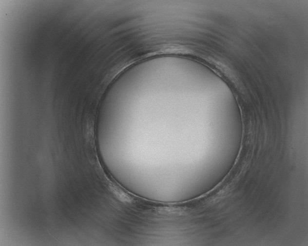 X0000073871281200609071649