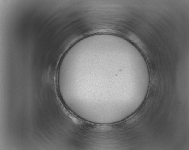 X0000073871282200609071649