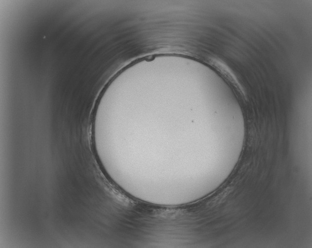 X0000073871284200609071649