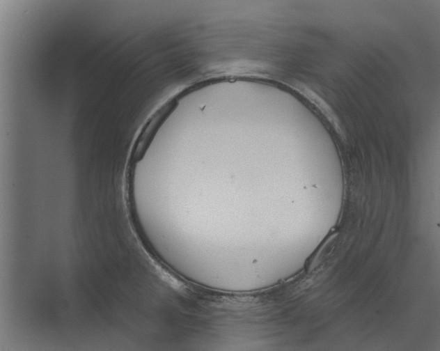 X0000073871285200609071649