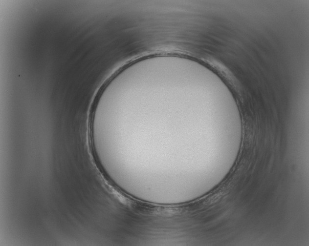 X0000073871286200609071649