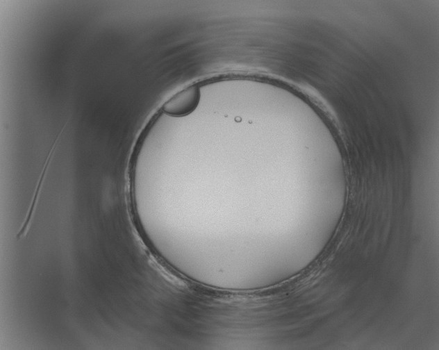 X0000073871287200609071649