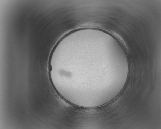 X0000073871288200609071649