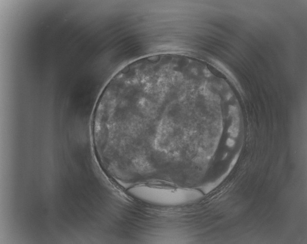 X0000073871291200609071649