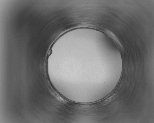 X0000073871292200609071649