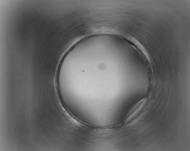 X0000073871293200609071649