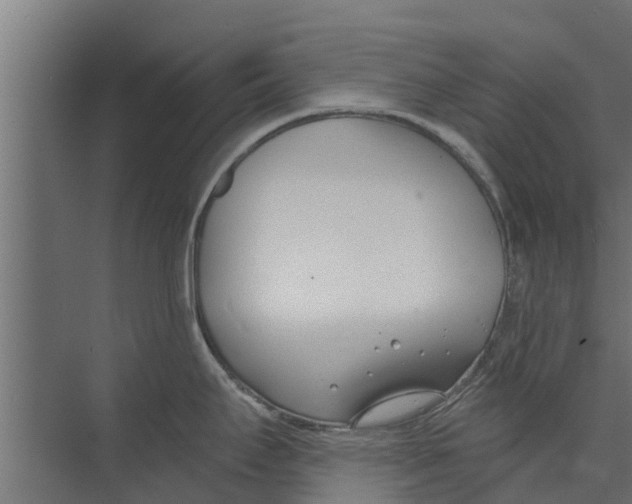 X0000073871295200609071649