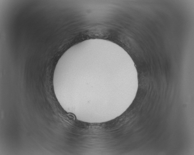 X0000073871297200609071648