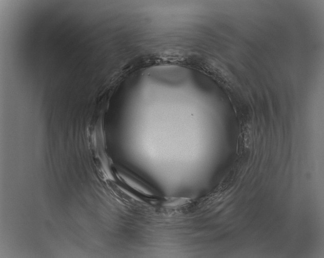 X0000073871298200609071648