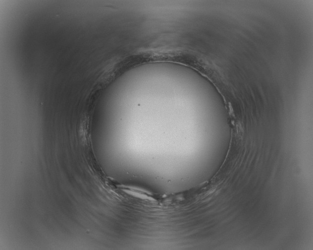 X0000073871300200609071648