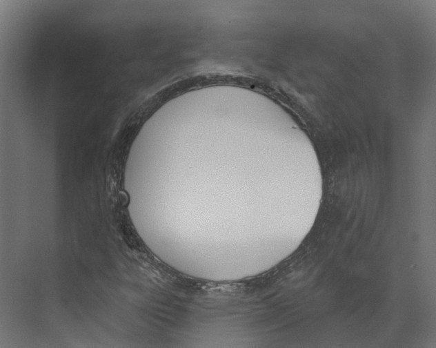 X0000073871303200609071648