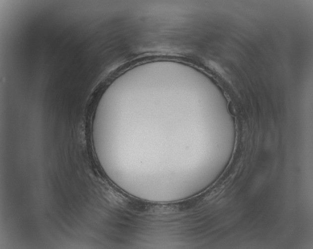 X0000073871307200609071648