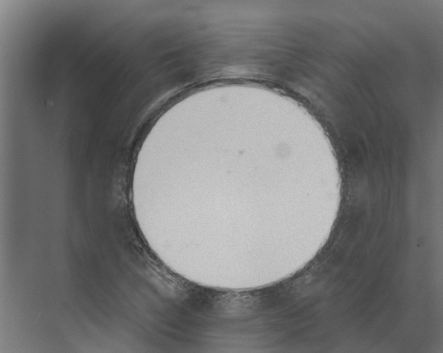 X0000073871314200609071649