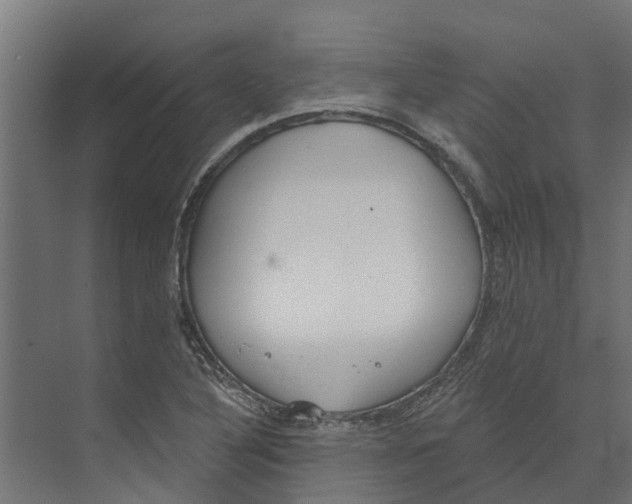 X0000073871316200609071649