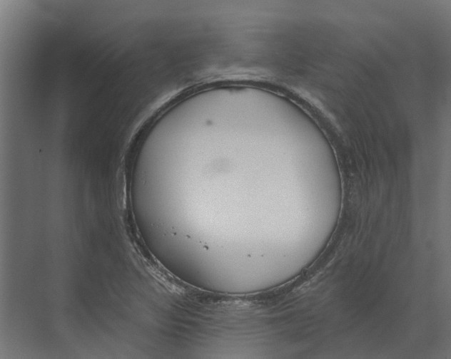 X0000073871317200609071649