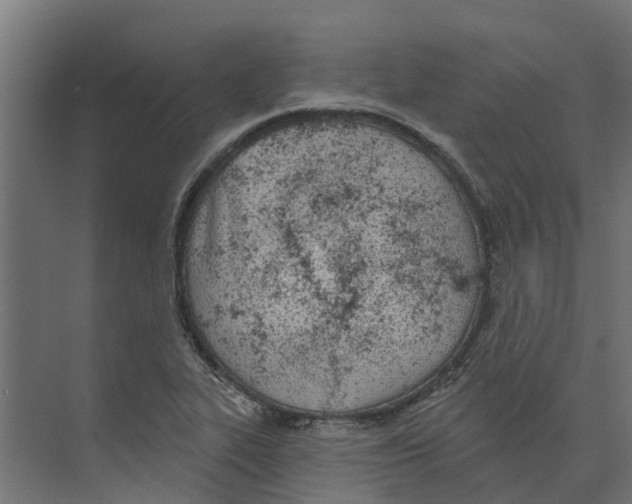 X0000073871319200609071649