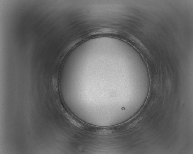 X0000073871321200609071649