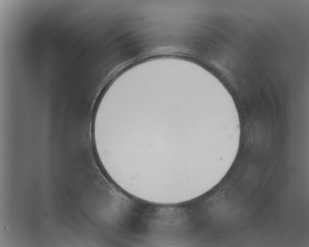 X0000073871322200609071649