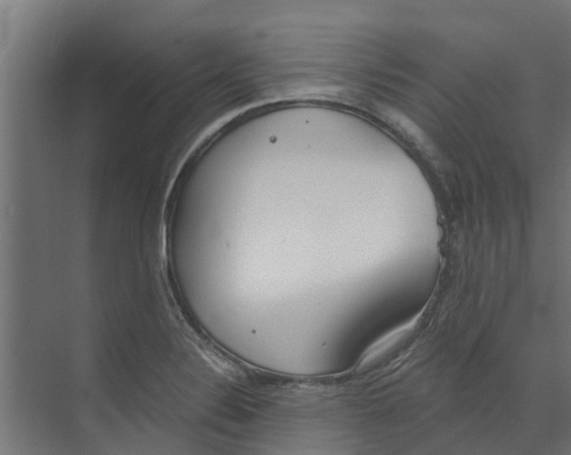 X0000073871324200609071649