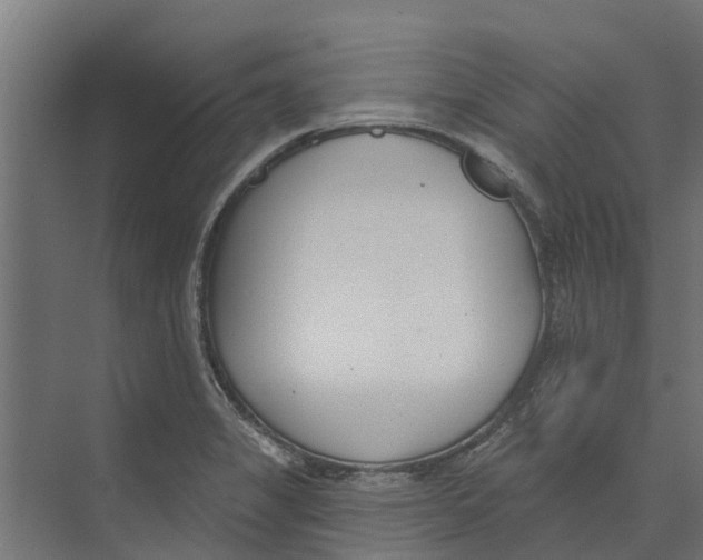 X0000073871325200609071649