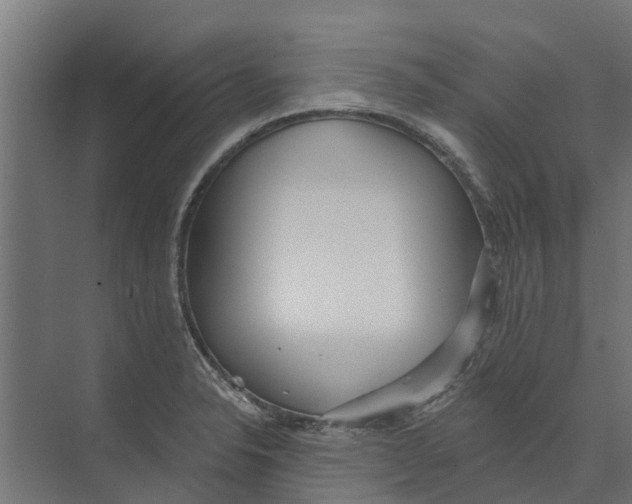 X0000073871326200609071649