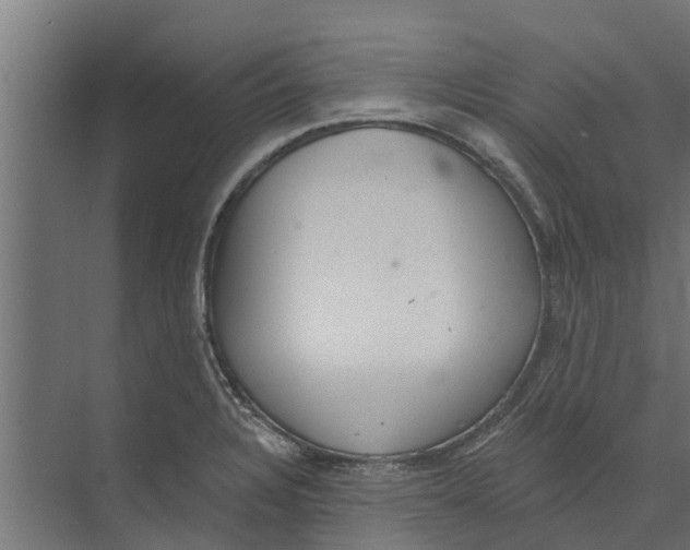 X0000073871328200609071649